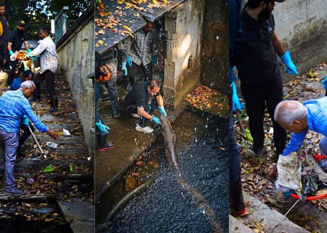 राणा सांगा विवादित बयान के विरोध में कलेक्ट्रेट में सपा सांसद के खिलाफ किया प्रदर्शन