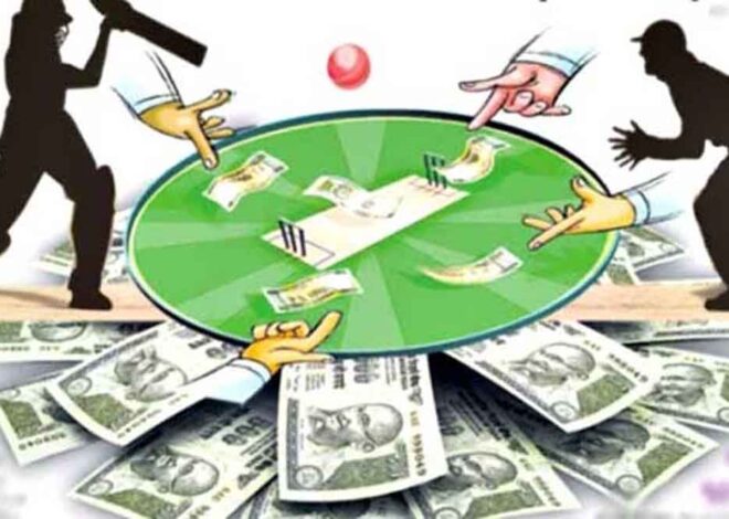 IPL 2025: बिलासपुर की हर गलियों में सटोरिए सक्रिय, क्रिकेट पर लगा रहे दांव
