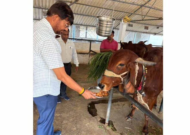 पशुपालन राज्य मंत्री श्री पटेल द्वारा बुल मदर फार्म का निरीक्षण