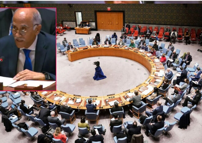 UNSC में भारत की दो टूक ‘पाकिस्तान को PoK खाली करना ही होगा’