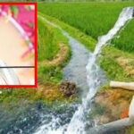 सीएम मोहन यादव ने 5 रुपए में स्थायी बिजली कनेक्शन देने का ऐलान किया