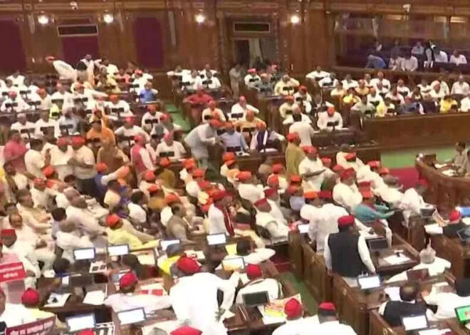 MLA ने पान मसाला खाकर विधानसभा में थूका, अध्यक्ष बोले- मैंने सब देख लिया