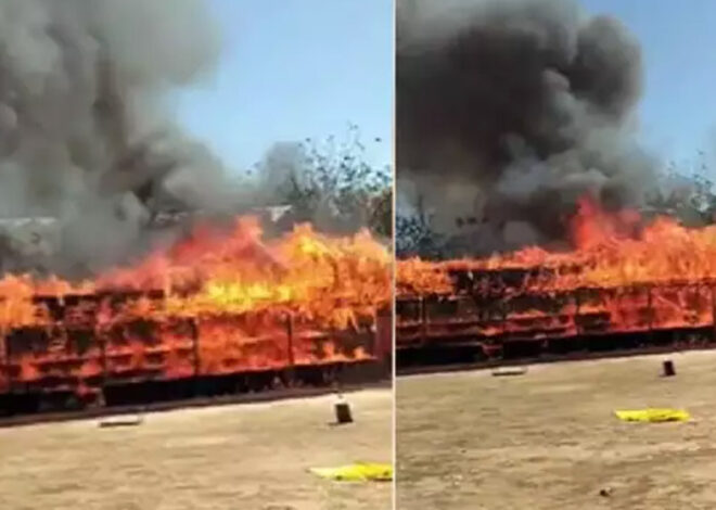 प्रदेश की सबसे बड़ी गौशाला लाल टिपारा में लगी भीषण आग, फायर ब्रिगेड राहत कार्य में लगी