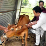 पशुओं की वैकल्पिक पशु चिकित्सा पद्धति पर, कार्य शाला 11 एवं 12 मार्च को