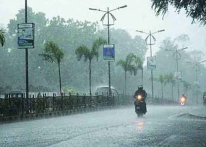 प्रदेश में दिन-रात के तापमान में काफी बढ़ोतरी दर्ज की गई, ग्वालियर, चंबल संभाग में कहीं-कहीं हल्की वर्षा के आसार हैं