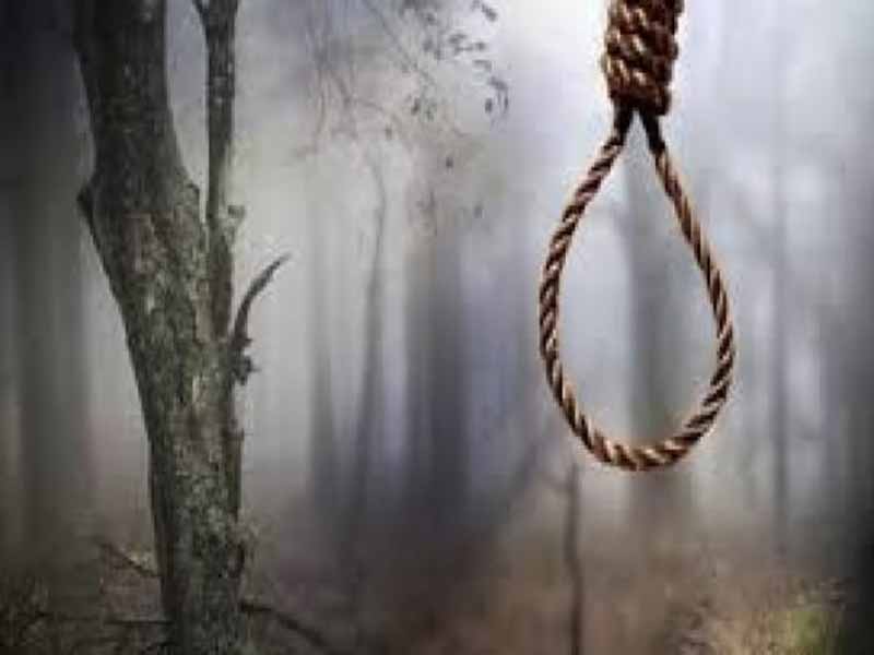 पार्क में पेड़ से लटके मिले लड़का-लड़की शव,  आत्महत्या या हत्या, जांच में जुटी पुलिस