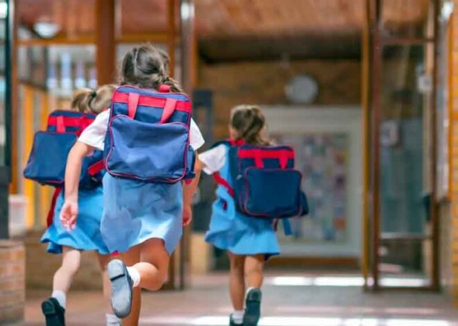 प्रदेश में 730 स्कूलों को पीएमश्री स्कूल के रूप में किया जा रहा है विकसित
