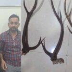 हिरण के सींग के साथ 2 शिकारी गिरफ्तार