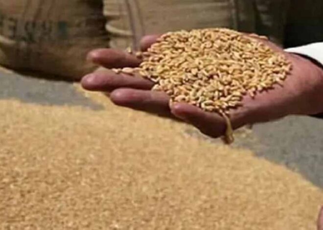 सस्ती दरों पर राशन का लाभ ले रहे अपात्र लाभार्थियों के खिलाफ सरकार की कड़ी कार्रवाई, नाम हटाने का आज आखिरी मौका