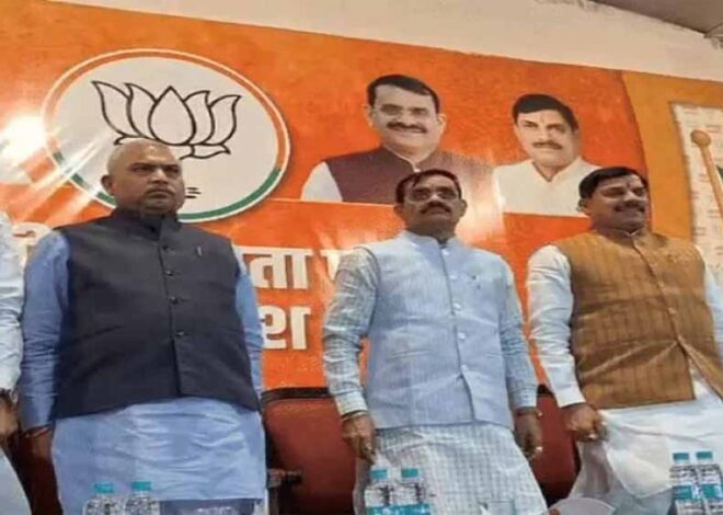 बीजेपी मुख्यालय में बड़ी बैठक, स्थापना दिवस मनाने समेत कई विषय पर चर्चा