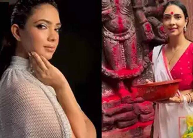 टीवी एक्ट्रेस पूजा बनर्जी ने मैटरनिटी एंजॉय करते हुए कराया फोटोशूट