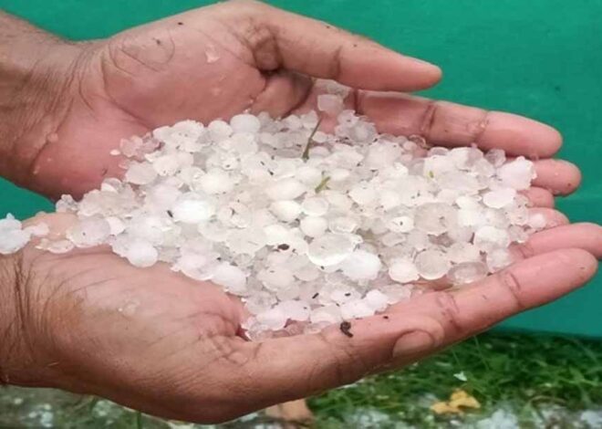 कोंडागांव में जमकर गिरे ओले