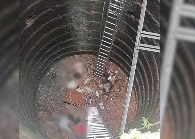 सूखे कुएं में उतरने से कई तरह की हो सकती हैं दुर्घटनाएं