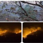 वन परिक्षेत्र चितरंगी के जंगलों में लगी भीषड़
