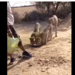 वीडियो वायरल होने पर फील्ड स्टाफ पर होगी कार्रवाई