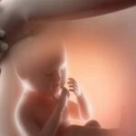 100 अस्पतालों में लगेगी सीटीजी मशीन, गर्भवती महिलाओं के डायबिटिक और रक्तचाप में उतार-चढ़ाव पर रहेगी नजर