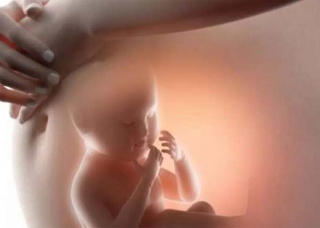 100 अस्पतालों में लगेगी सीटीजी मशीन, गर्भवती महिलाओं के डायबिटिक और रक्तचाप में उतार-चढ़ाव पर रहेगी नजर