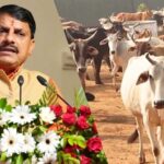 मध्यप्रदेश कैबिनेट बैठक में अन्नदाता मिशन को दी गई स्वीकृति, किसानों की समृद्ध बनाने की दिशा में कदम