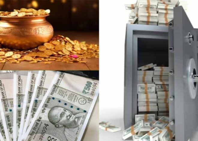 कुछ ऐसी चीजें जिन्हें घर में रखने से कभी नहीं होती पैसों की कमी
