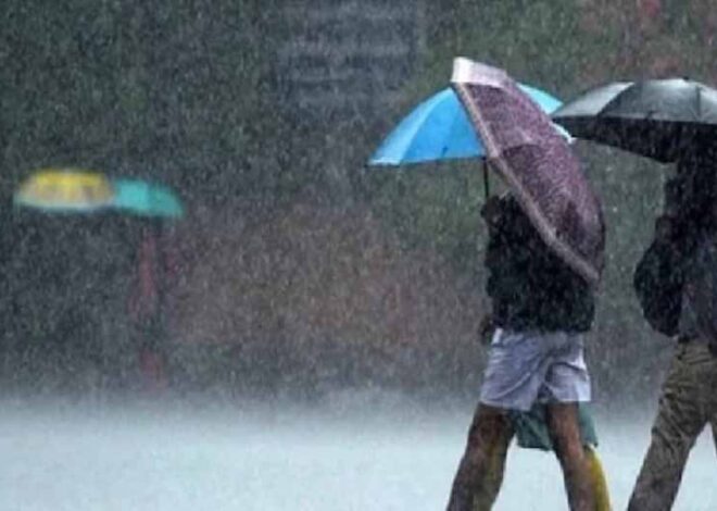 CG में चार दिन पहले दस्तक देगा मानसून, टूटेगा 16 साल का रिकॉर्ड