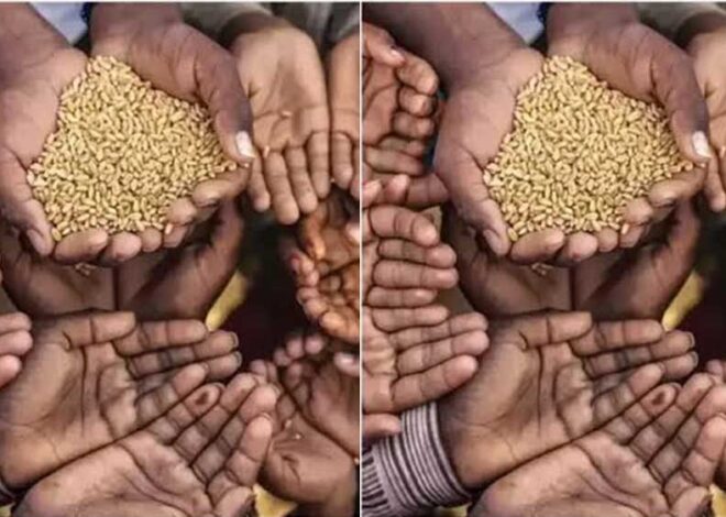 गुना में मुर्दे खा गए करोड़ों का आनाज, जांच में हुआ बड़े फर्जीवाड़े का खुलासा