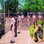 CRPF के लाल ‘रोलो’ ने मधुमक्खियों के हमले में दी शहादत, नक्सली ऑपरेशन में रही महत्वपूर्ण भूमिका
