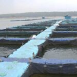 रायपुर : छत्तीसगढ़ के कोरबा जिले में बनेगा राज्य का पहला एक्वा पार्क