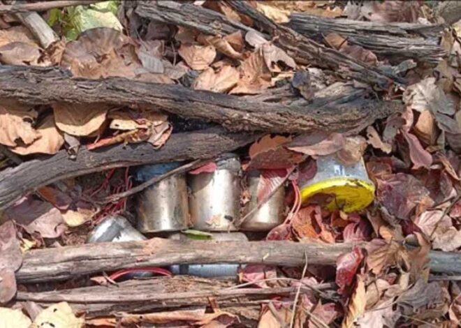 पश्चिमी सिंहभूम में मिले पांच IED मौके पर ही किए निष्क्रिय