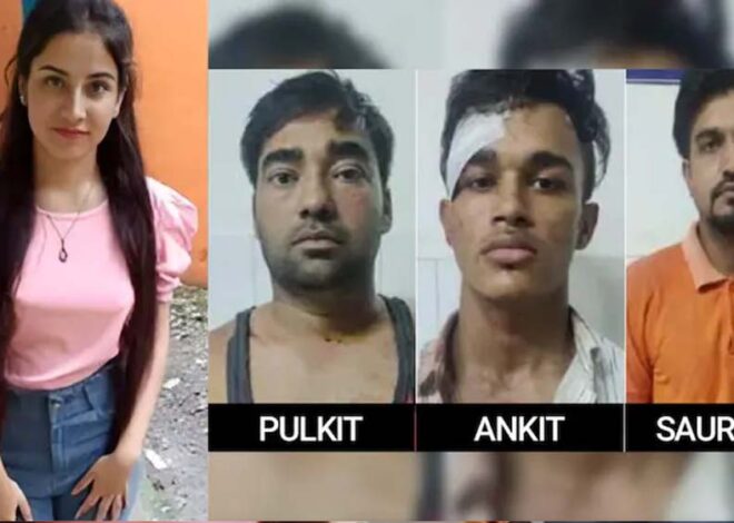 अंकिता भंडारी हत्याकांड पर आया बड़ा फैसला, कोर्ट ने पुलकित, सौरभ और अंकित को सुनाई उम्रकैद की सजा