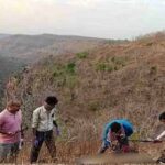 शाहपुर रेंज में वन अमले को एक बाघिन का शव मिलने से हड़कंप