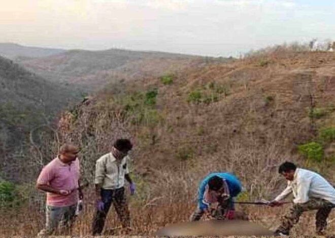 शाहपुर रेंज में वन अमले को एक बाघिन का शव मिलने से हड़कंप