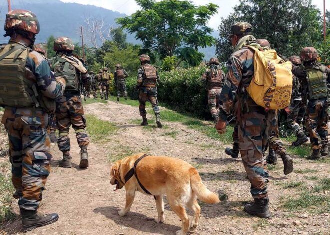 भारतीय सेना को बड़ी कामयाबी, भारत-म्यांमार बॉर्डर पर 10 उग्रवादियों को किया ढेर