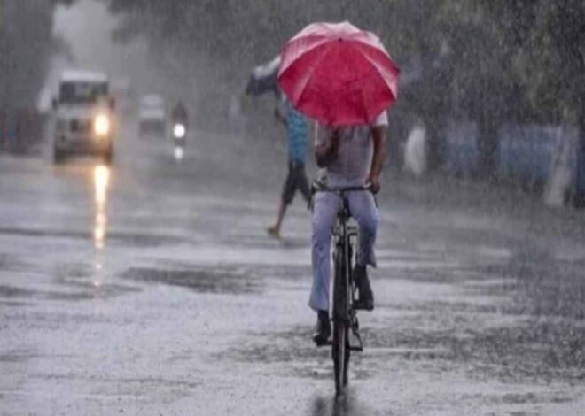 दक्षिण भारत में अगले पांच दिनों तक भारी बारिश, आंधी तूफान व बिजली कड़कने की चेतावनी जारी