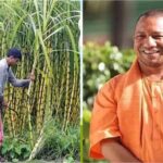 योगी आदित्यनाथ के नेतृत्व में UP के सभी 75 जिलों के 25 लाख किसानों की बदलेगी तकदीर!