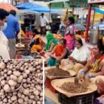 सबसे महंगी सब्जियों में शुमार छत्तीसगढ़ में रोड पर बिक रहा बोड़ा