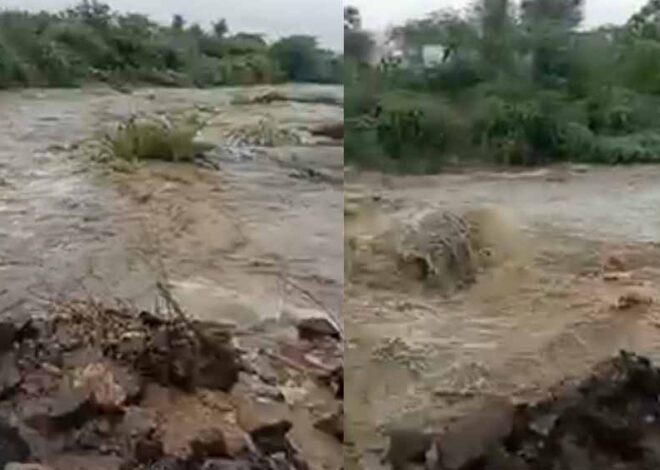 रुक-रुककर बारिश का सिलसिला जारी, झाबुआ नाला ऊफान पर आने से रेवदर मार्ग बंद