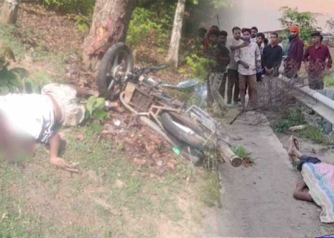 बलरामपुर में पेड़ से टकराई तेज रफ्तार बाइक, युवक की मौत