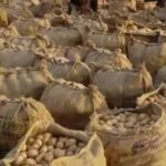 आगरा में बनेगा अंतरराष्ट्रीय आलू केंद्र, मोदी कैबिनेट ने दी मंजूरी