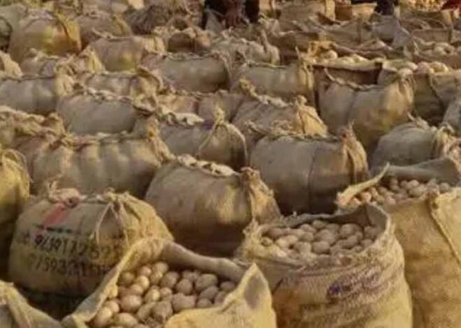 आगरा में बनेगा अंतरराष्ट्रीय आलू केंद्र, मोदी कैबिनेट ने दी मंजूरी