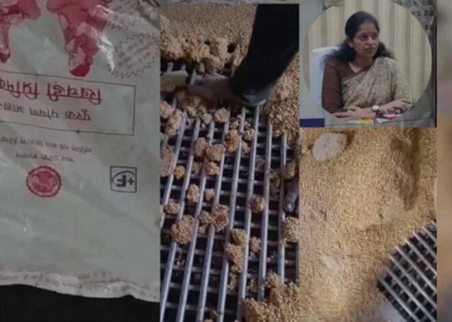 रीवा में गर्भवती महिलाओं को दिए जाने वाले पोषण आहार को पैरों से कुचलकर बनाये जाने का एक वीडियो सामने आया