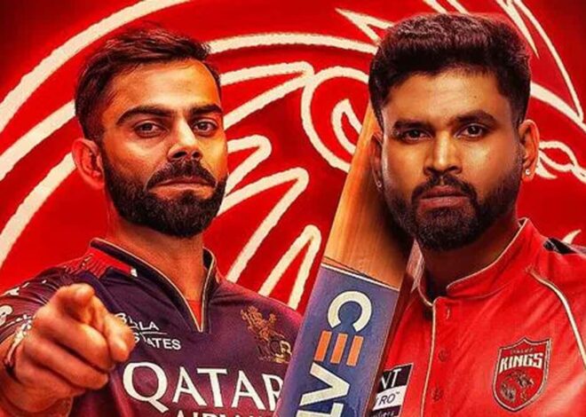 इस बार IPL को मिलेगा नया चैंपियन, आरसीबी-पंजाब में खिताब की टक्कर, जानें दोनों टीमों का ट्रैक रिकॉर्ड