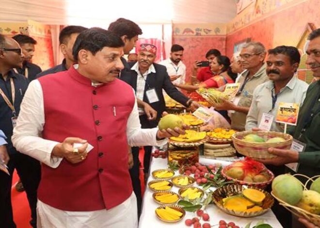 मुख्यमंत्री डॉ. यादव ने बॉम्बे ग्रीन और मणि प्रभा किस्म का स्वाद चख कर आम महोत्सव का किया शुभारंभ