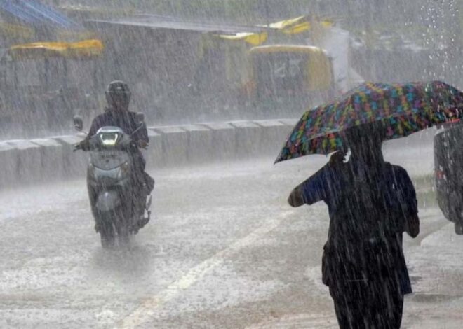 मध्यप्रदेश में आज भी प्री-मानसून की एक्टिविटी देखने को मिलेगी, ग्वालियर-रतलाम में भी आंधी-बारिश, 7 जिलों में यलो अलर्ट