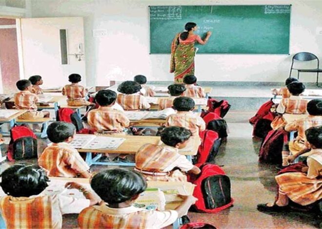 स्कूल शिक्षा में संस्कृत और संस्कृति का उदय