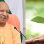 उत्तर प्रदेश सरकार पौधारोपण अभियान के तहत 37 करोड़ पौधे लगाएगी