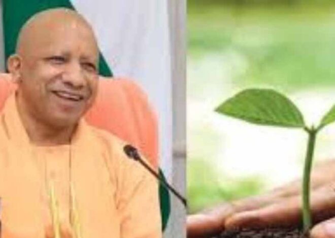 उत्तर प्रदेश सरकार पौधारोपण अभियान के तहत 37 करोड़ पौधे लगाएगी