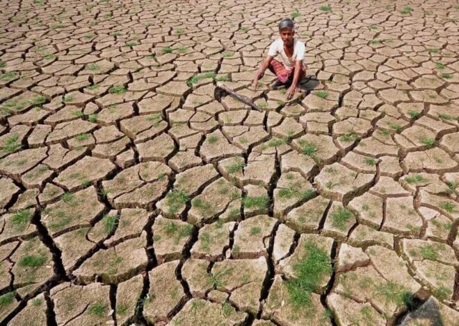 अध्ययन में पता चला की प्रदेश के 10 जिलों में गंभीर सूखे का खतरा, गर्म दिनों की संख्या बढ़ने के चलते बनी स्थिति
