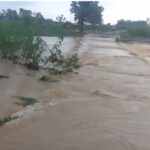 टीकमगढ़, डिंडौरी और गुना में भारी बारिश से कई इलाकों में जलभराव , नदी-नाले उफान पर