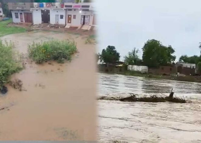 शिवपुरी : मूसलाधार बारिश से शहर की कई कॉलोनी पानी में डूबीं, जल भराव से बाढ़ जैसे हालात