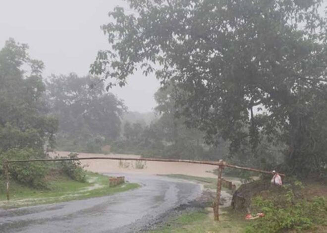 शहडोल में भारी बारिश का कहर: रेलवे स्टेशन और अस्पताल जलमग्न